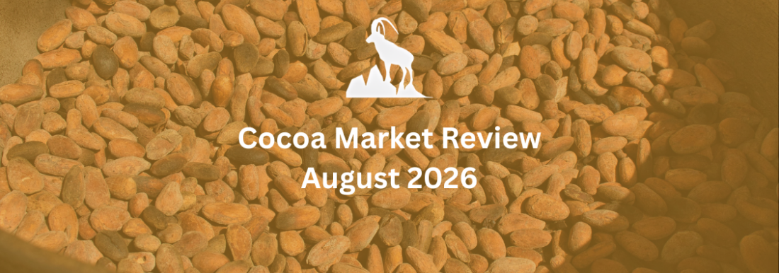 Cocoa Market Review August