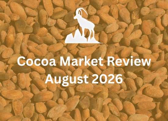 Cocoa Market Review August